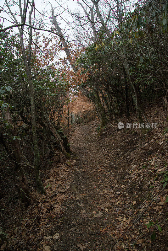 北卡罗莱纳州的山到海的小径