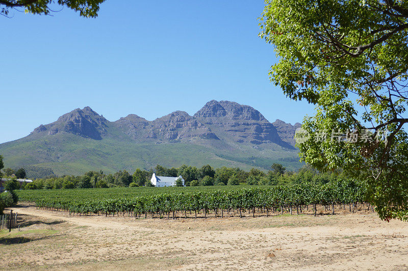 Stellenbosch葡萄酒之乡，南非