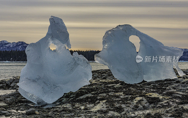 阿拉斯加勒孔特湾的勒孔特冰川形成。