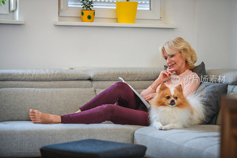 老妇人在沙发上看书，抱着一只狗
