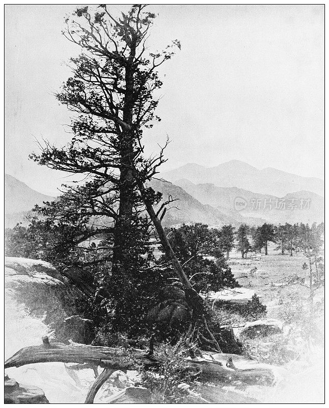 美国地标的古董黑白照片:朗的山峰，科罗拉多州