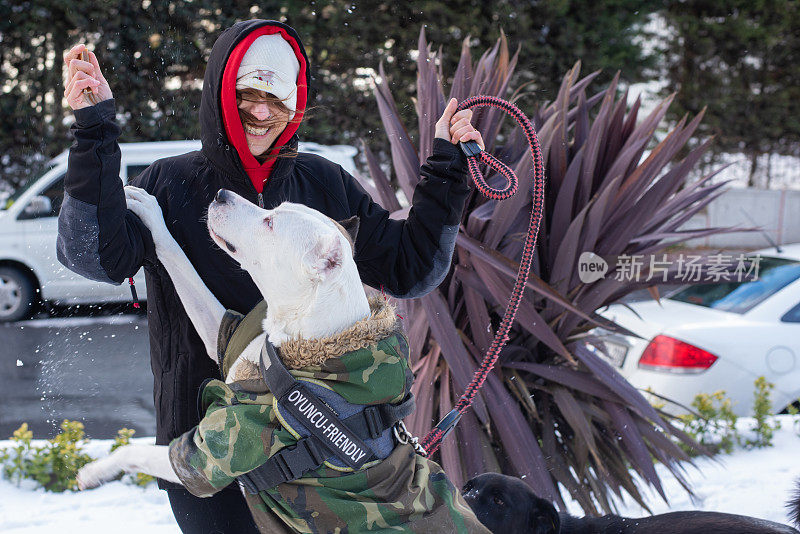 狗和人在雪地里散步