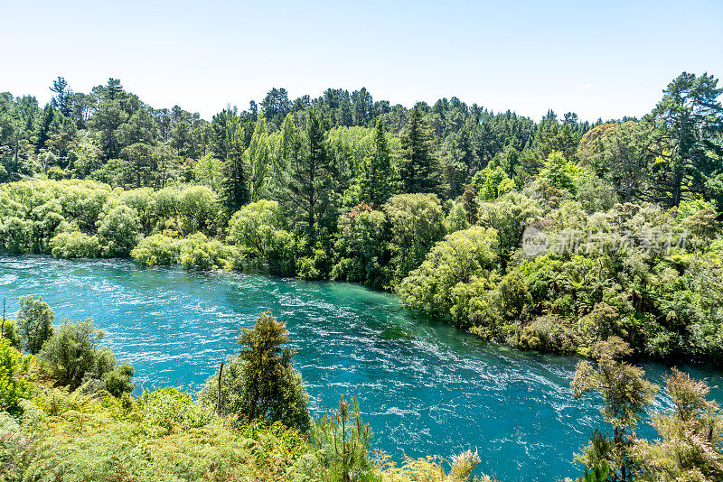 新西兰陶波韦拉凯公园的怀卡托河