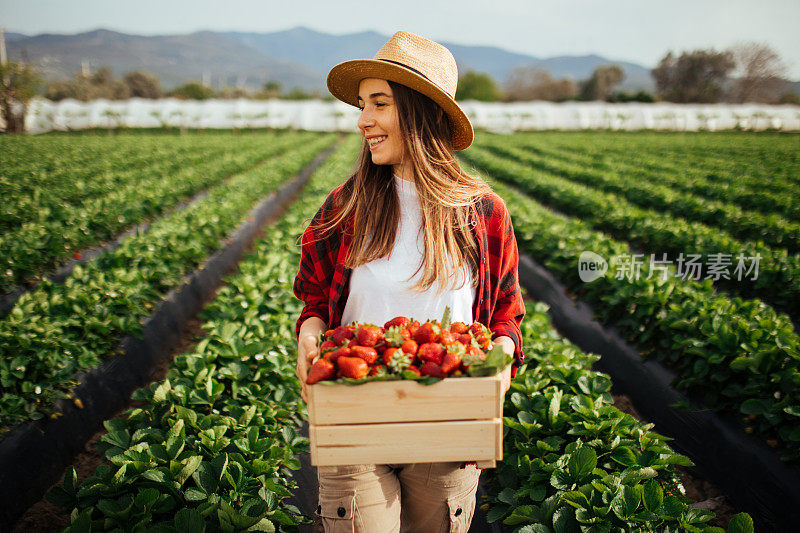年轻漂亮的女人拿着一个装满草莓的篮子