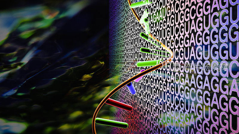 DNA螺旋正在解开核苷酸密码。