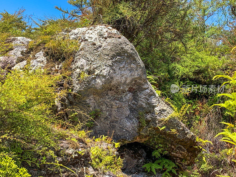 新西兰陶波隐藏山谷的奥拉基科拉科地热公园和洞穴中的大象岩