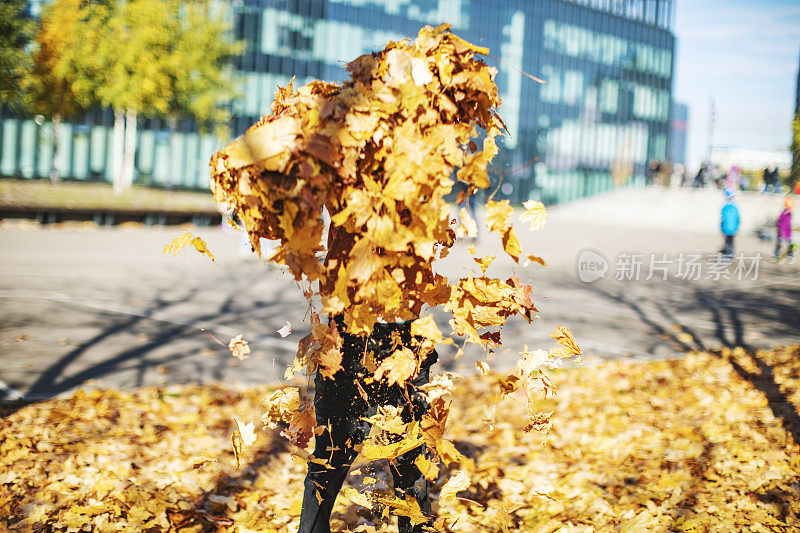 一个孩子在公园里吐着黄色的秋叶