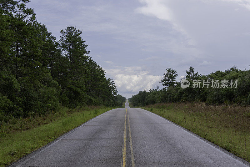 沿着潮湿的柏油路中心线，沿着连绵起伏的景观，穿过乌云密布的沙松林