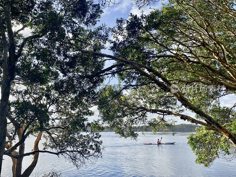 透过纸树皮看湖景