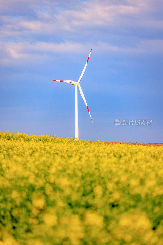 在美丽的多云天空下，农场上的风力发电机
