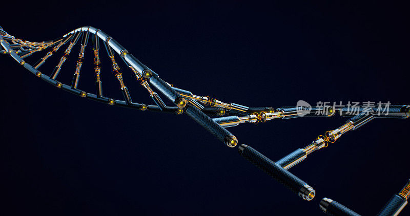 3D渲染部分白杨DNA链在黑色背景上与复制空间的科学主题