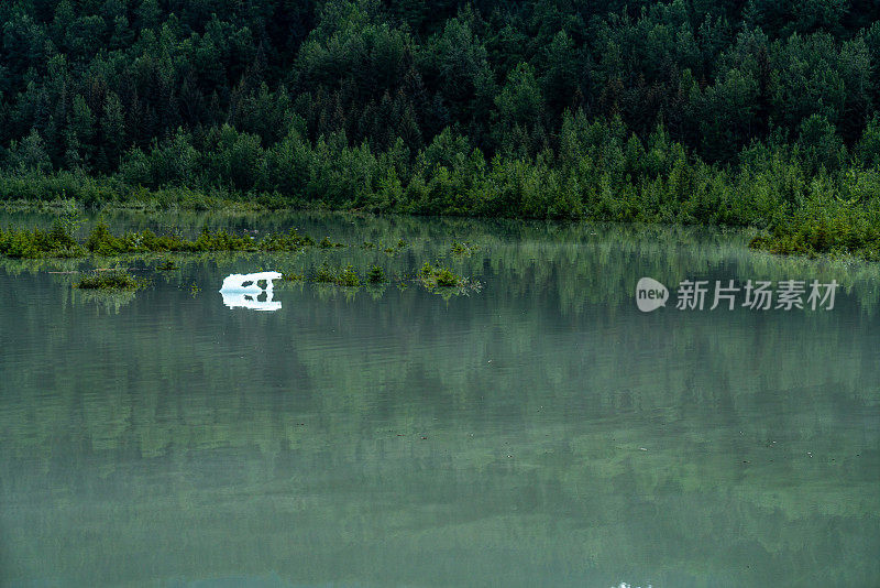 阿拉斯加朱诺的门登霍尔湖景