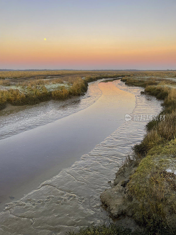 施埃尔蒙尼科格(Schiermonnikoog)初冬清晨的盐沼日出