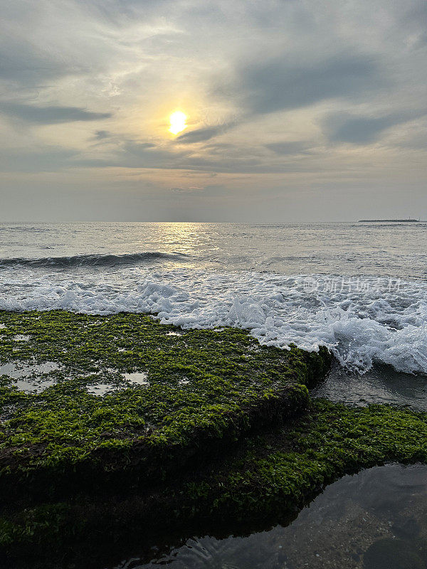 海边橙色的太阳映照在海面上，泡沫的海浪冲破绿藻和海藻覆盖的岩石，岩石潮汐池，潮汐反射，太阳落在涟漪的水面上，复制空间