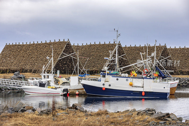 挪威罗弗敦群岛港口的渔船