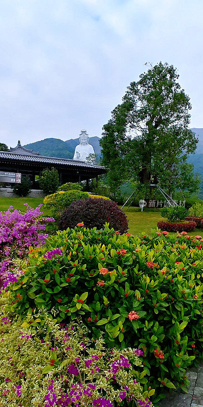 慈山寺外的花园