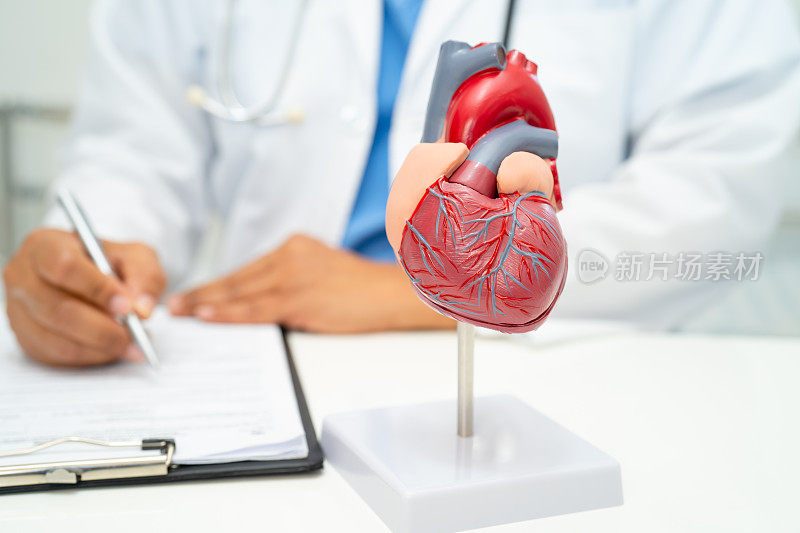 心血管疾病CVD，亚洲医生手持人体解剖模型学习和治疗心脏病。