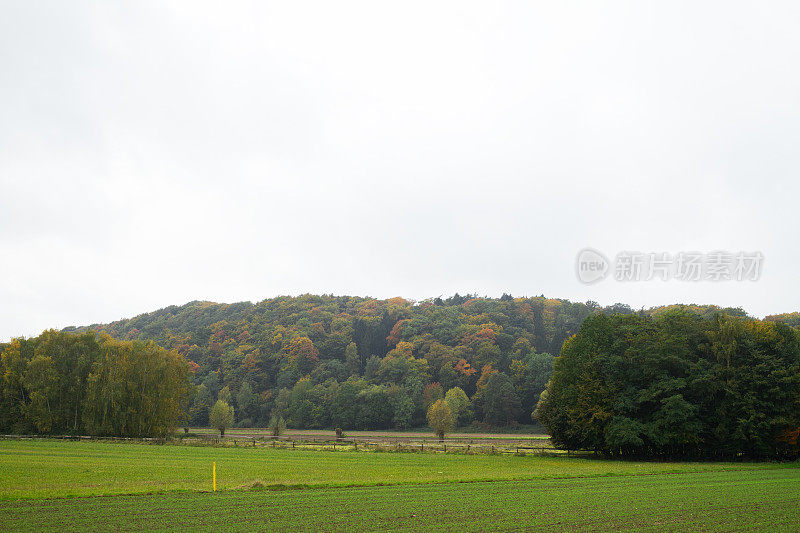 秋天鲁尔附近的树林和田野