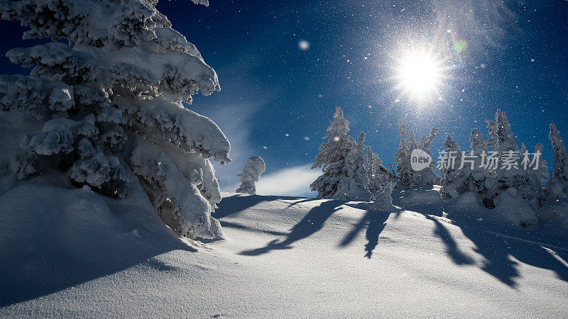 滑雪的背景