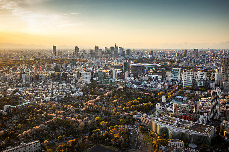 日本东京的现代城市全景