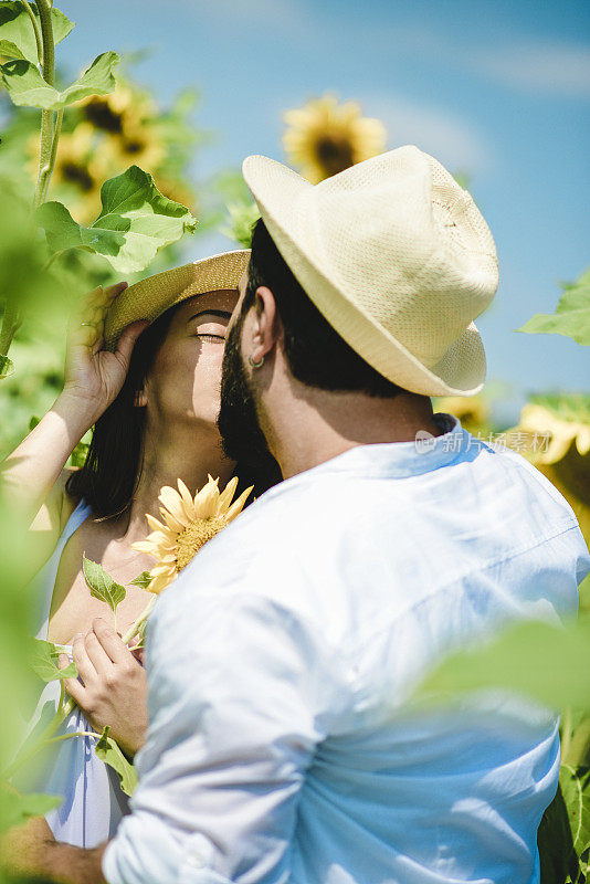 在田野里亲吻和享受阳光的情侣