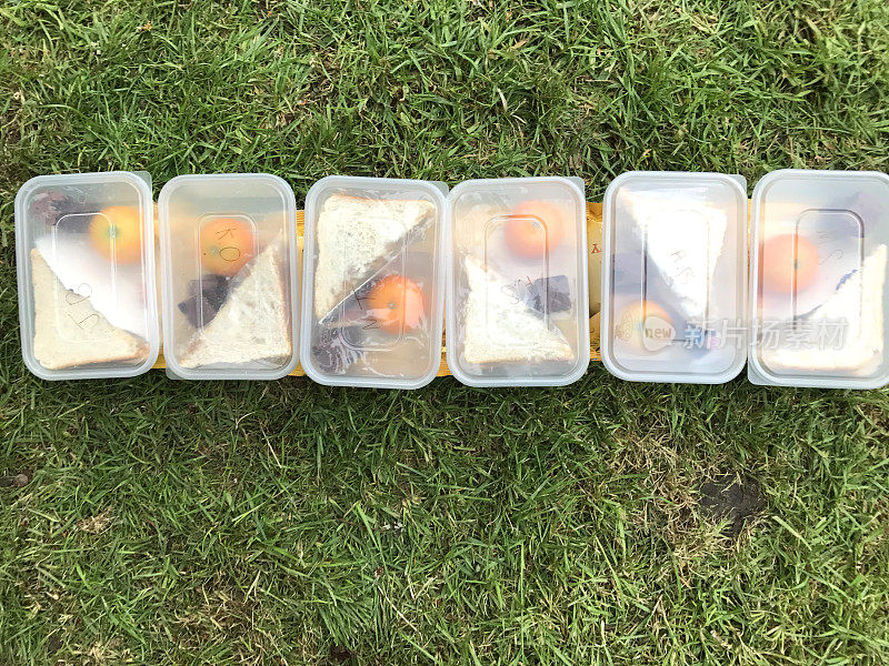 6个午餐盒在草地上排成一排，有白面包片三明治、脆片包、巧克力方块和橙子
