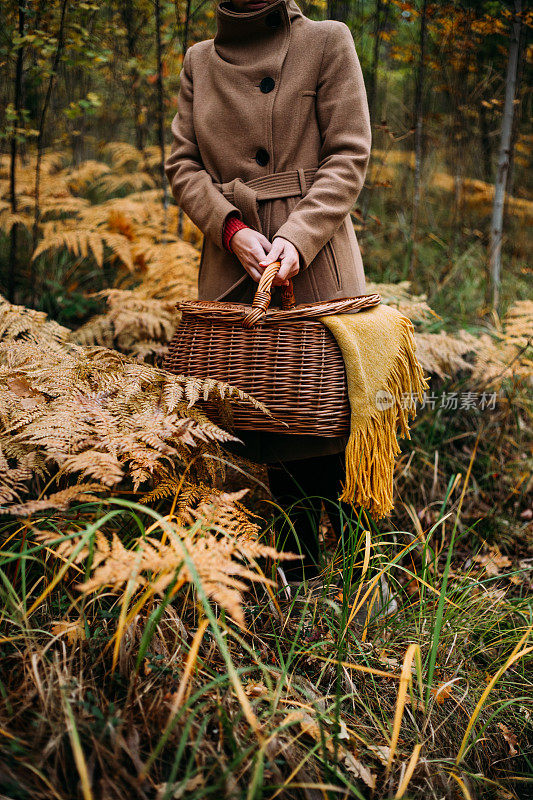 女人与老乡村野餐篮子在日落时间与秋天的风景