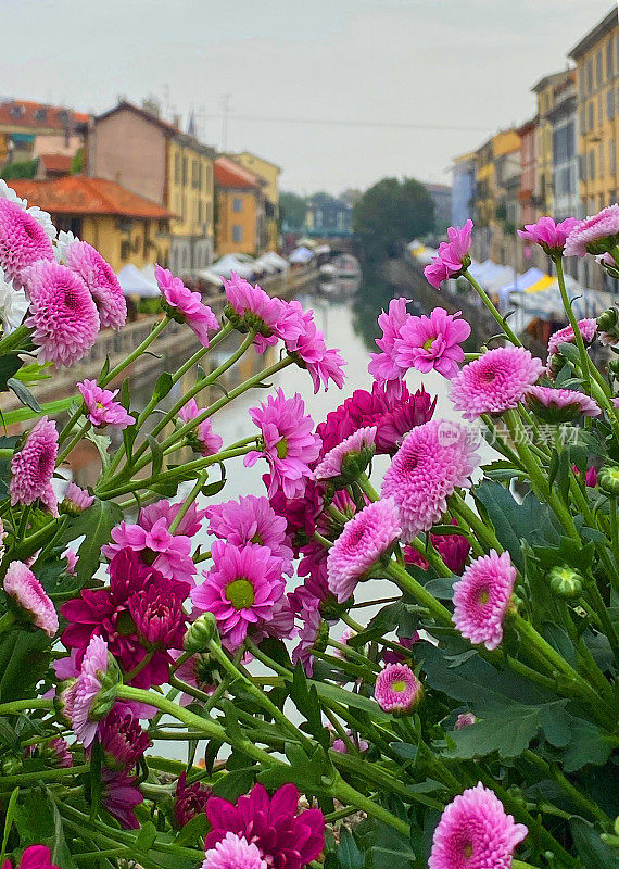 米兰的花卉市场