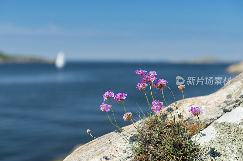 海滨海节俭