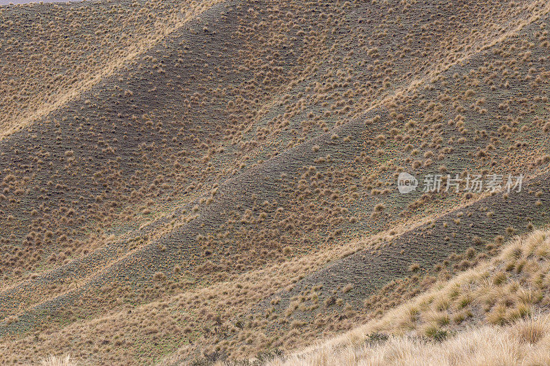 新西兰南岛林迪斯山口干燥干燥的山坡