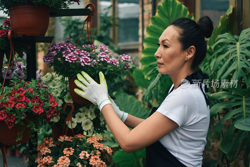 花匠，在温室里种花的妇女