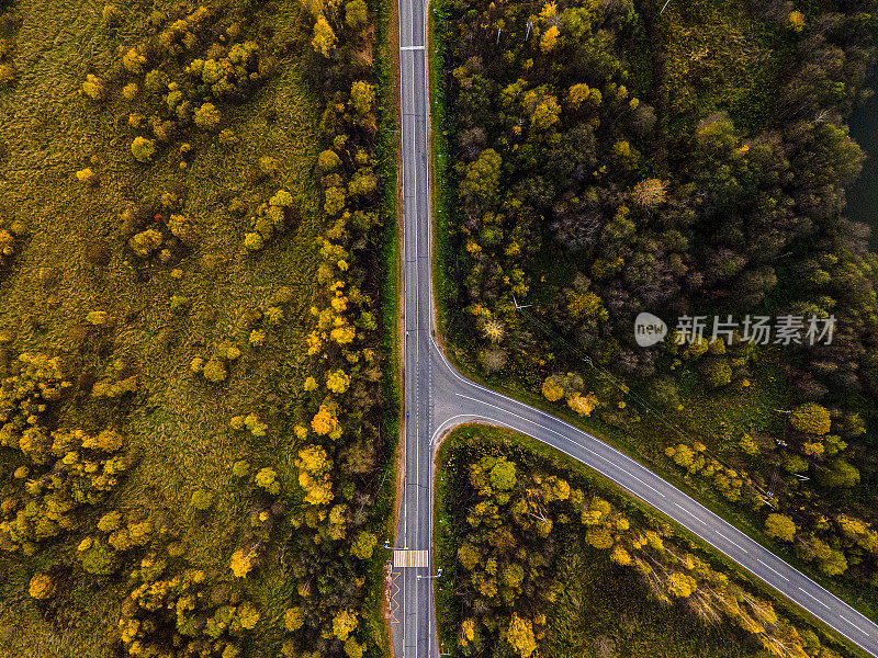 穿过森林的路。上方航拍照片