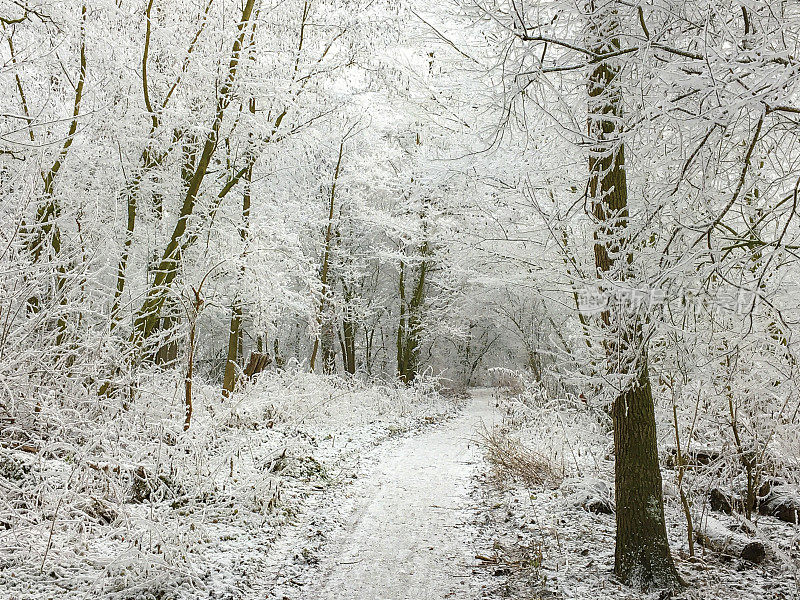 荷兰坎彭市公园的雪景