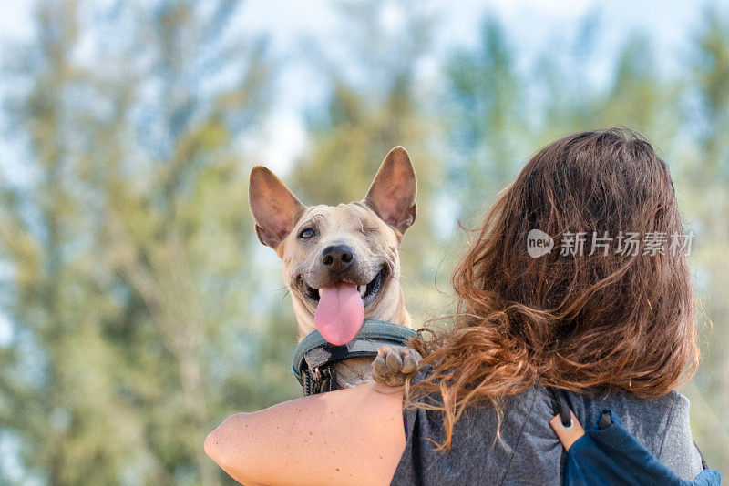 一个女人肩上扛着一只微笑的盲犬