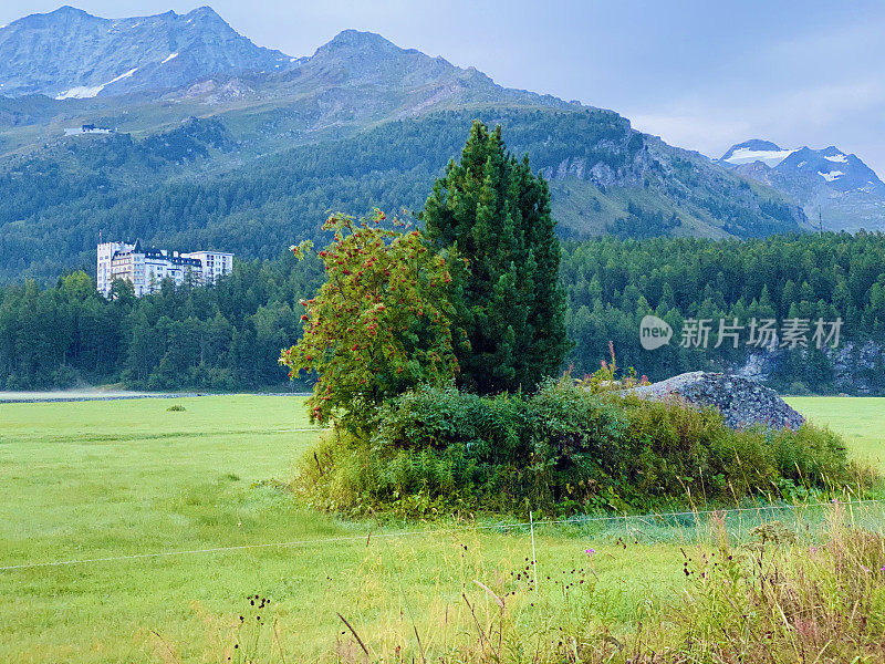 恩加丁上部景观，草地，森林和山脉