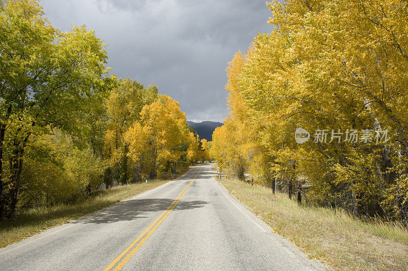 秋天的山路