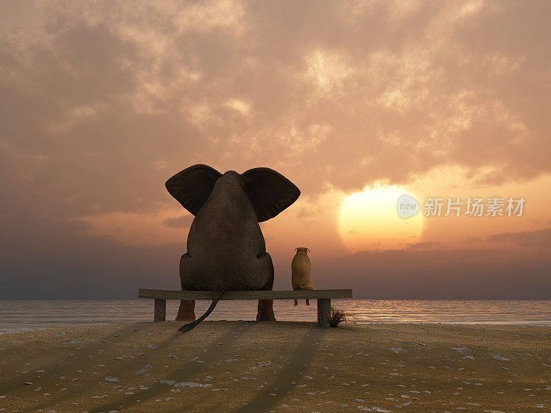 大象和狗坐在夏天的海滩上