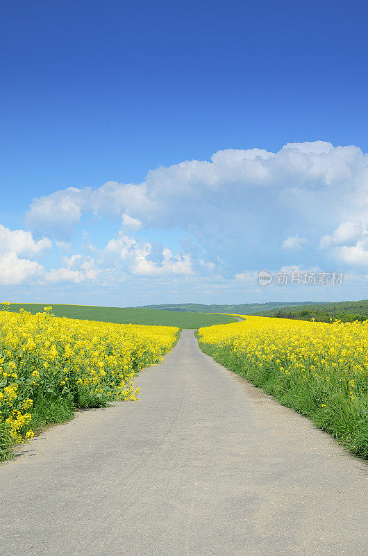 穿过花圃的农家路