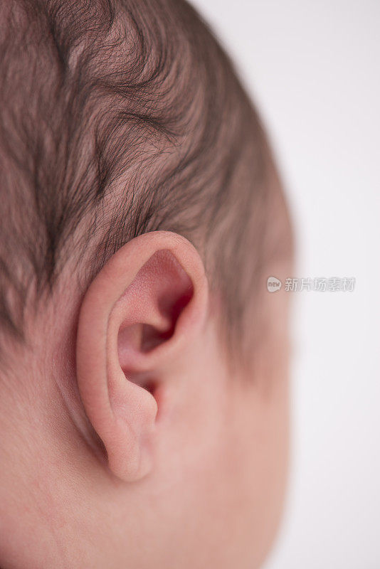 宝宝的耳朵。