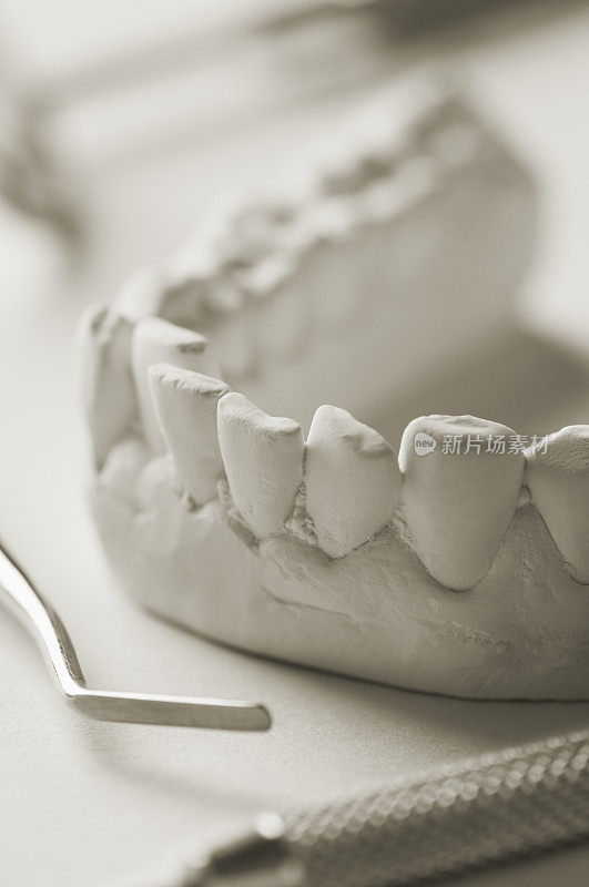 牙医的牙模被牙科器械包围着