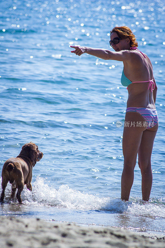 女人和狗在海滩上
