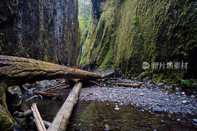 杂物峡谷视图