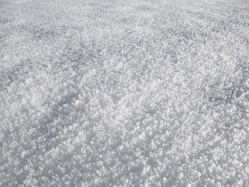 雪领域