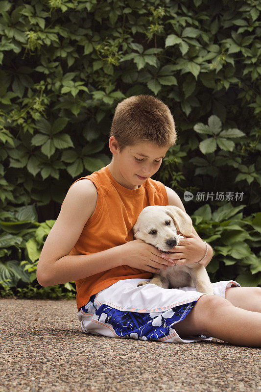 小男孩和黄色拉布拉多犬玩耍