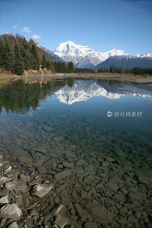 罗布森山倒映在清澈的河池里。