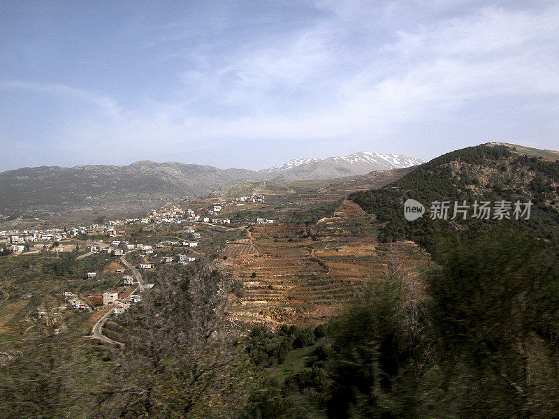 戈兰高地的山坡上