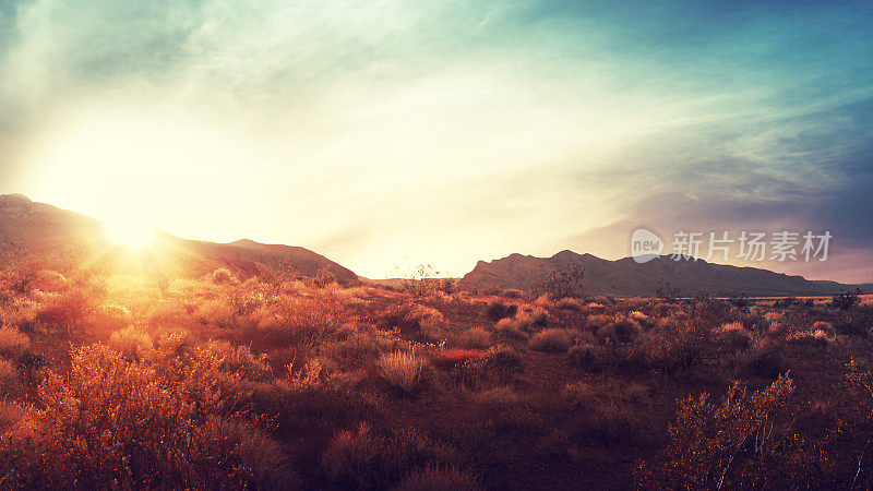 火谷沙漠上的日落