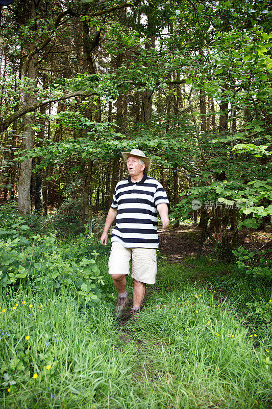 成熟的男人走在林间小路上