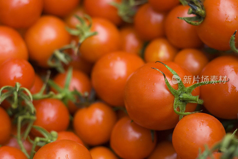 新鲜Tomatos