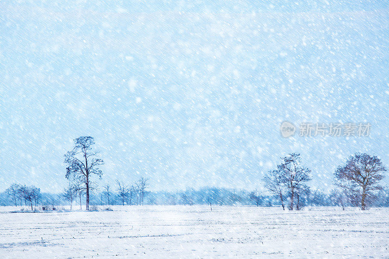 下雪在乡下